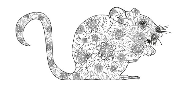 手画缠结鼠标为着色书图片下载