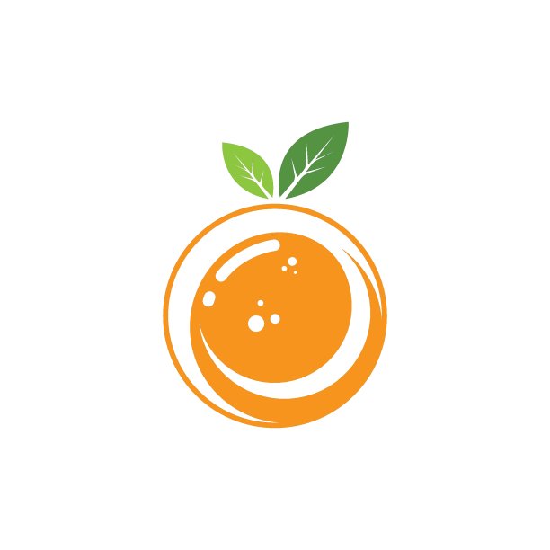 橙色水果矢量插画概念设计图片下载