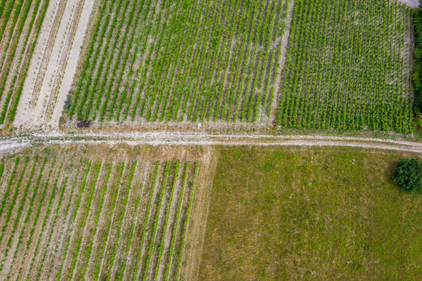 农村的街道图片下载