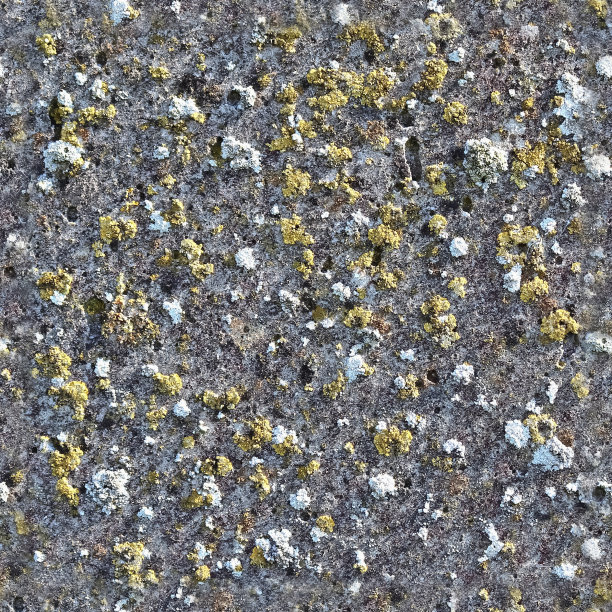 照片逼真的无缝纹理瓷砖混凝土墙面与高细节图片下载