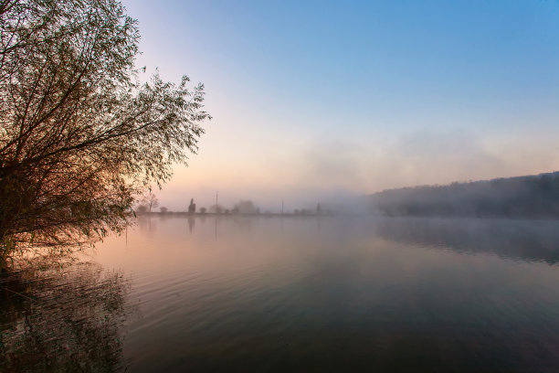 日出在雾蒙蒙的湖面上。在湖岸前景的藤条。太阳正从河对岸的树梢上冉冉升起。图片下载
