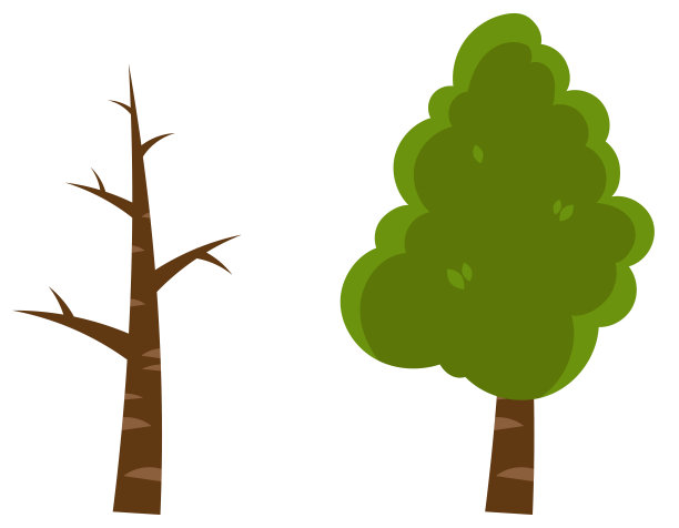 光秃秃的树和长着叶子的树。图片下载