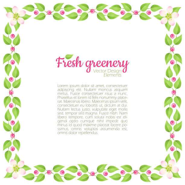 夏季设计模板与新鲜的绿叶和鲜花图片下载