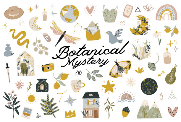 抽象当代插画与花卉，动物，月亮，女孩的力量元素。图片下载