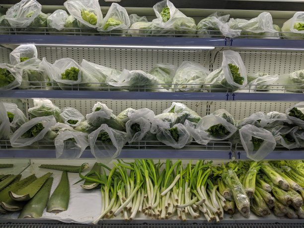 超市冷藏区的美味新鲜蔬菜图片下载