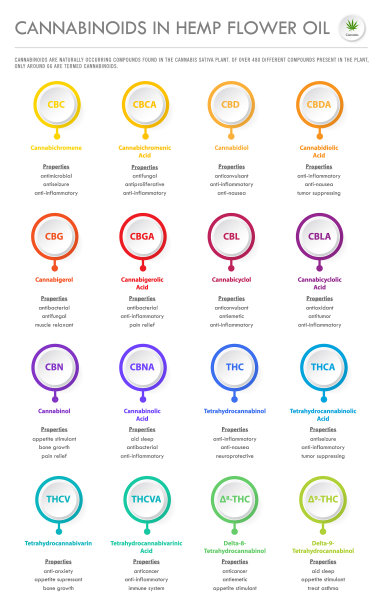 大麻素在大麻花油垂直经营图片下载
