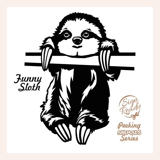 滑稽的树懒在偷看，滑稽的树懒在偷看图片下载