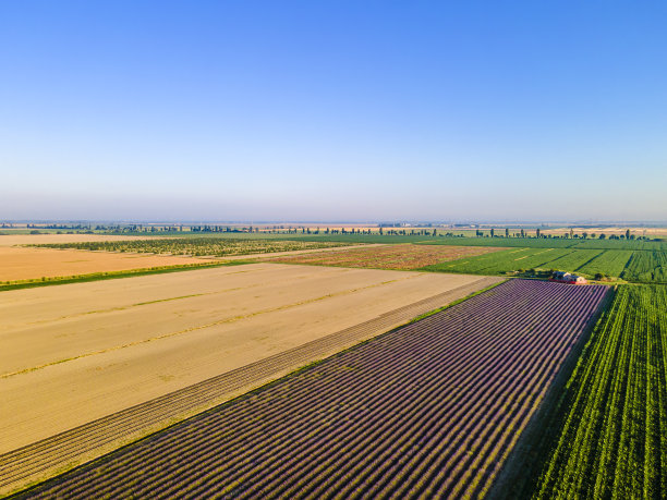 意大利-波河三角洲威尼托地区公园的耕地图片下载