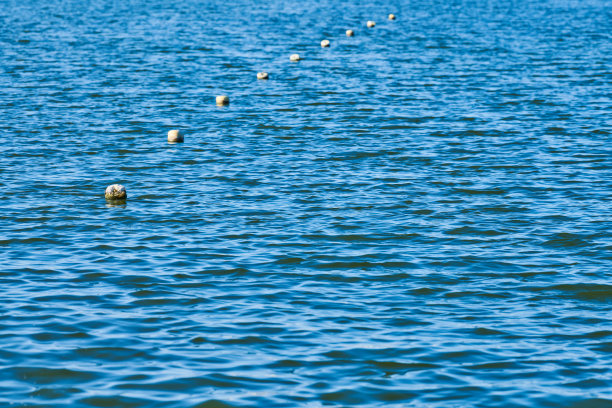 漂浮浮标在海水上形成屏障图片下载