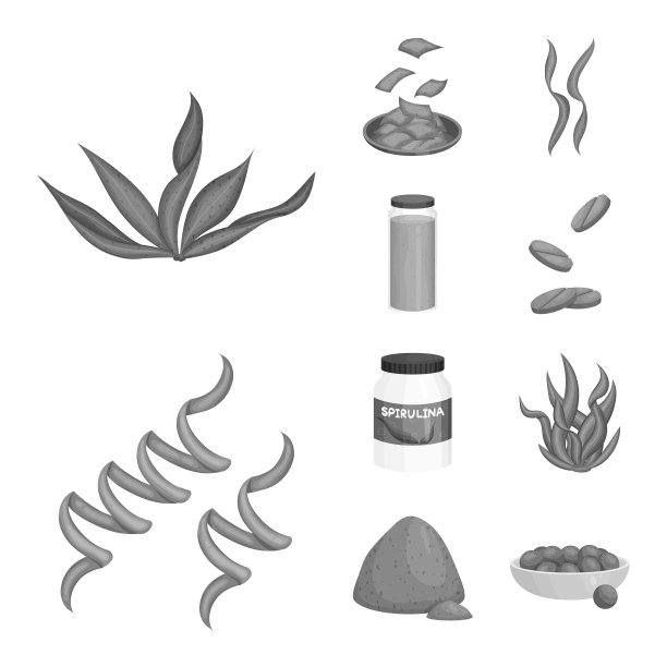 植物和杂草符号集图片下载