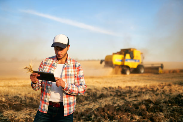 精准农业：农民使用平板电脑控制联合收割机，采用现代化自动化系统。农艺师使用在线数据管理软件生成小麦田产量图图片下载
