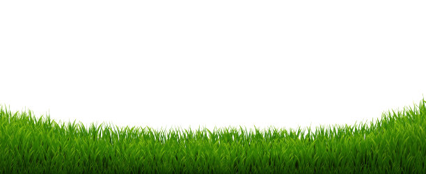 绿草全景与白色背景图片下载