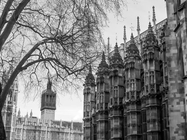 威斯敏斯特教堂单色细节图片下载