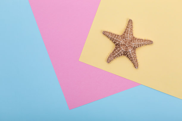 海星在宁静色纸上纹理，平铺图片下载