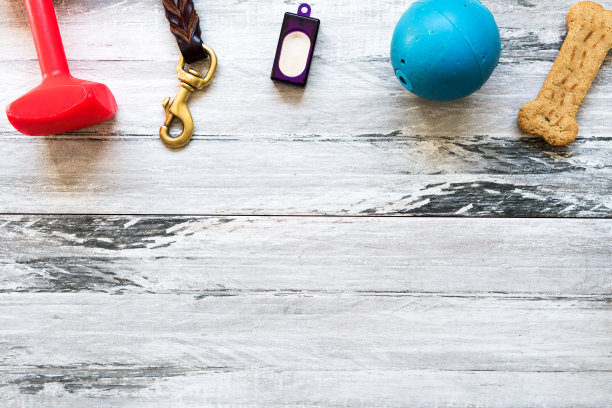 狗训练配件，如哑铃，皮带，遥控器，球和糖果。俯视图上的木材。用于点击器培训的项目图片下载
