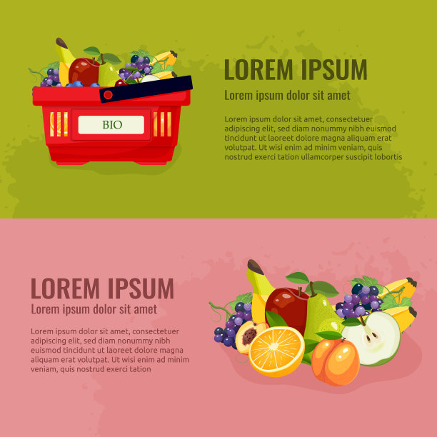 健康饮食的概念是有机水果和浆果图片下载