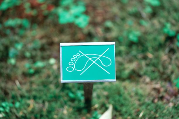 小的踪迹图片下载