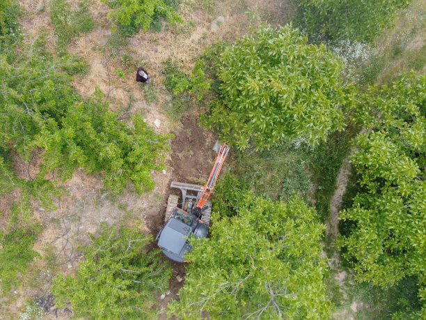 樱桃园的挖土机。花园里的挖掘机图片下载