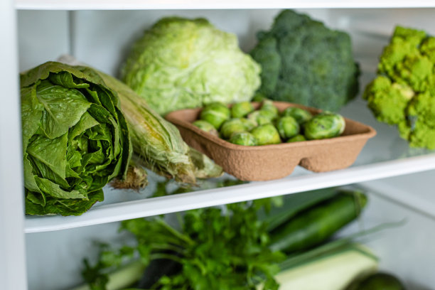 有绿色蔬菜的现代冰箱。健康新鲜的营养。健康的饮食和生活方式图片下载