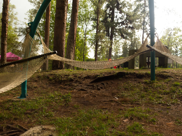 树木和小木屋之间有吊床的林地图片下载