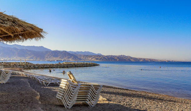 早晨在红海的海滩上游泳，图片下载