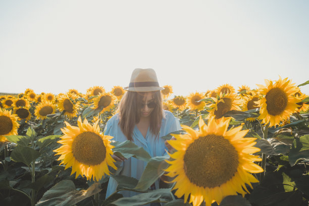 从四面八方照射过来图片下载