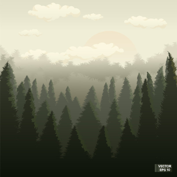 日落时的绿色森林图片下载