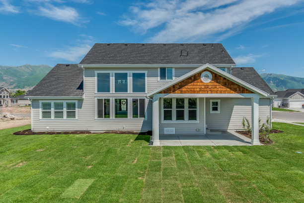 新传统住宅的后侧外观图片下载