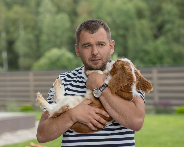 照片中的一个可爱的中年男子抱着一个骑士国王查尔斯猎犬小狗。关心、保护和照顾宠物的情感。狗被带到兽医那里。小的朋友图片下载