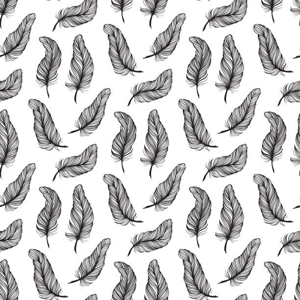 复古无缝羽毛，任何用途的伟大设计。向量速写插图。图片下载