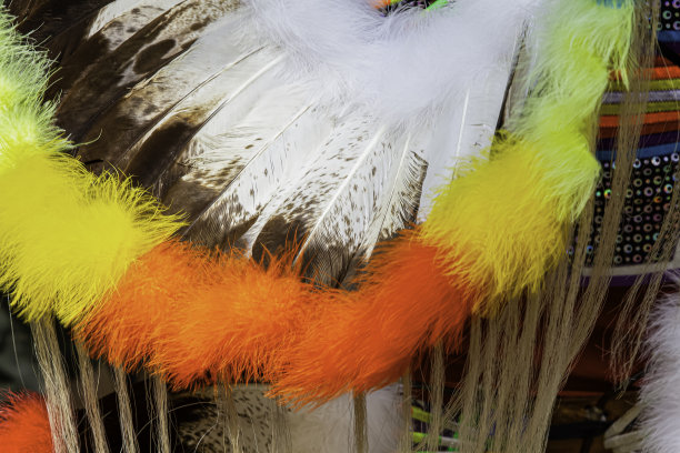 一个土著头饰的特写图片下载