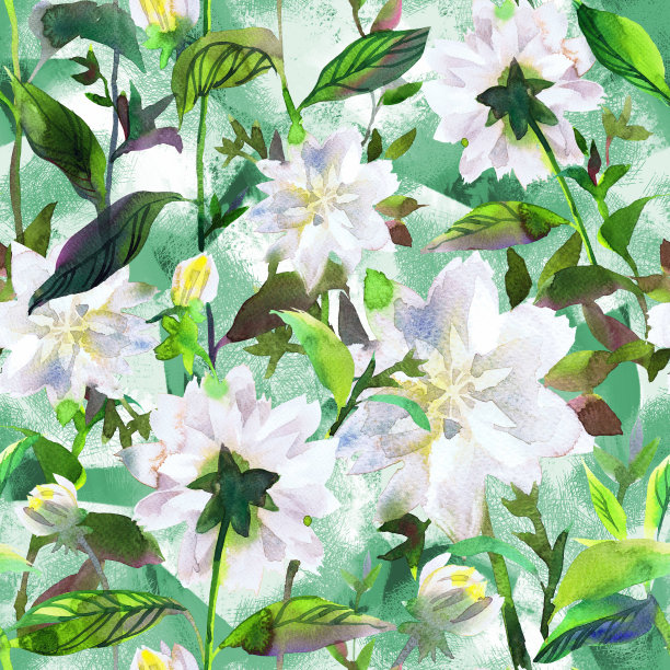 花开花。水彩花朵无缝图案。手绘紫苑芽茎和叶。夏季植物装饰在复古风格。图片下载