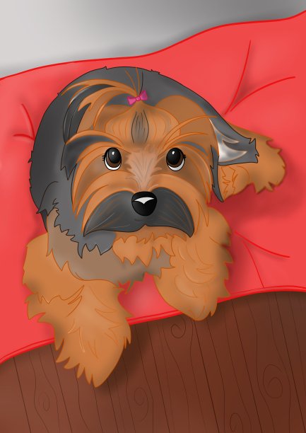 约克夏犬躺在垫子上看着照相机图片下载