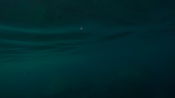 全景水下场景和蓝色背景图片下载