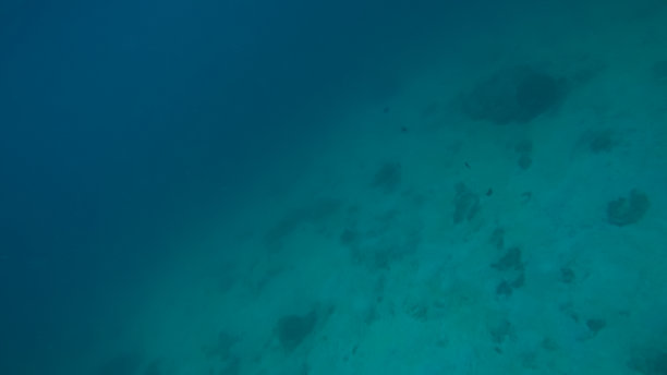 全景水下场景和蓝色背景图片下载