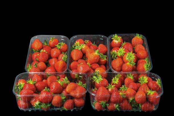 近距离观察新鲜的红草莓孤立在黑色的背景。健康食品的概念。图片下载