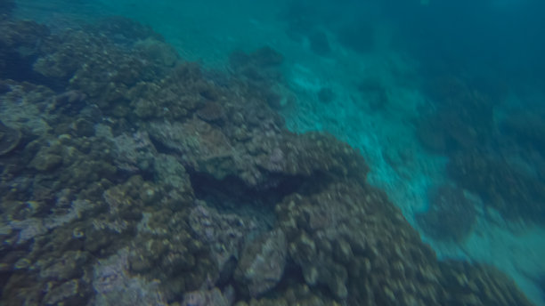 全景水下场景和蓝色背景图片下载