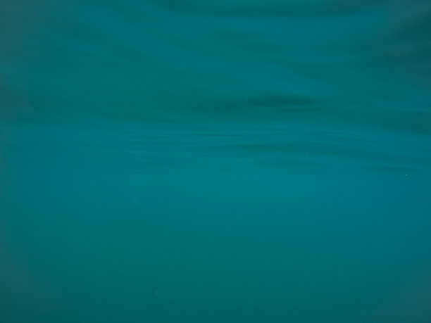 全景水下场景和蓝色背景图片下载