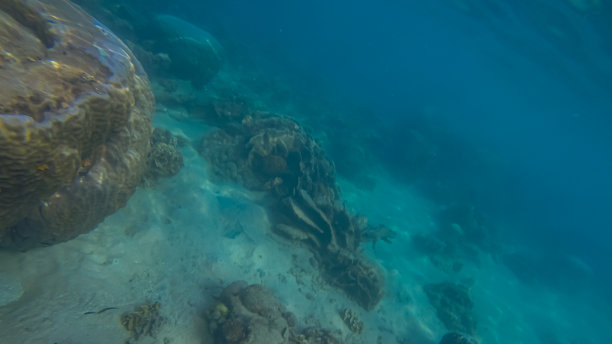 全景水下场景和蓝色背景图片下载