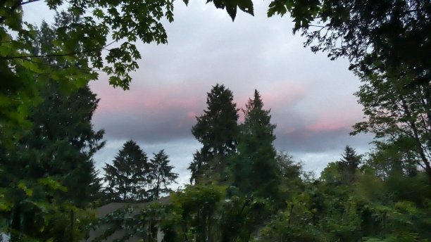 Emorie的隐匿处图片下载