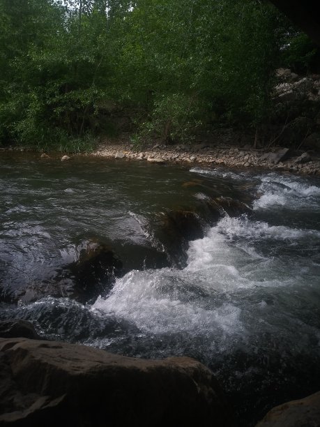 林间河流穿石景观图片下载