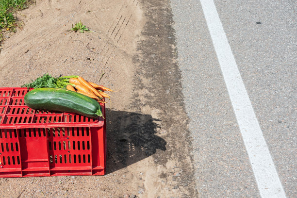 在柏油路边上，乡下的蔬菜躺在一个红色的塑料盒子里。路边的贸易。有西葫芦和胡萝卜。背景。图片下载
