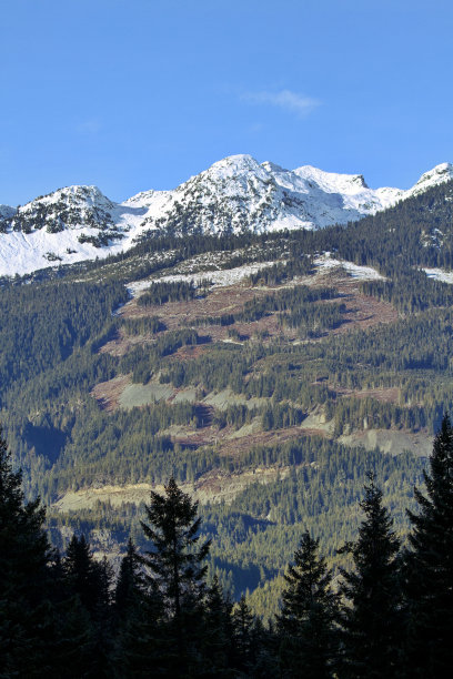 不列颠哥伦比亚省的海天高速公路令人惊叹图片下载