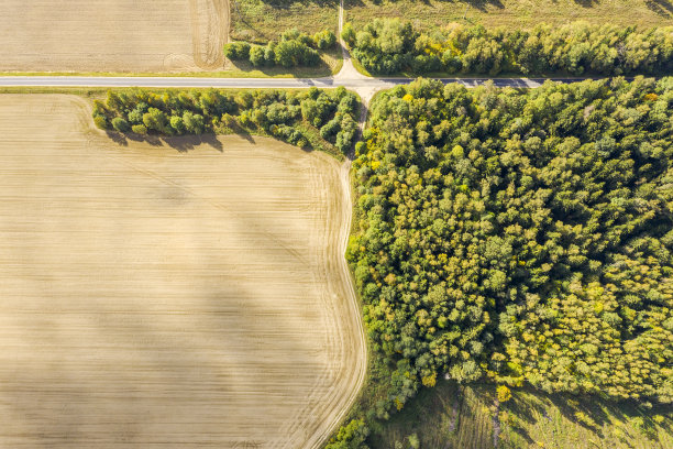 鸟瞰图的乡村道路通过绿色的森林和田野图片下载