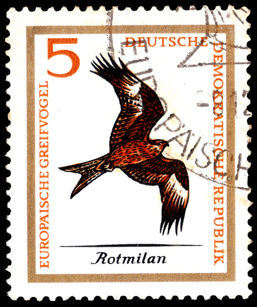 德国(DDR) - 1965年12月8日左右:一枚在东德印制的邮票- DDR展示了欧洲的猛禽-猛禽系列图片下载