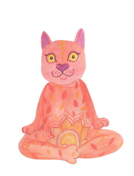 瑜伽粉色的猫图片下载