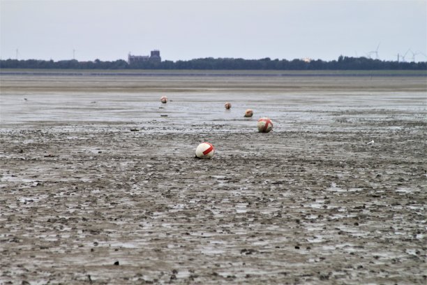 瓦特景观与浮标在低潮图片下载