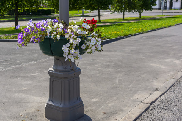 夏天，城市街道上的旧苏联灯柱上用活花装饰图片下载
