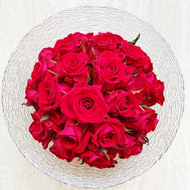 红玫瑰图片下载