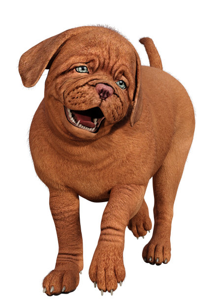 3D插图可爱的小狗在白色图片下载